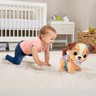 VTech Baby Toutou, 1 2 3 Suis-moi - Item 2 of 5